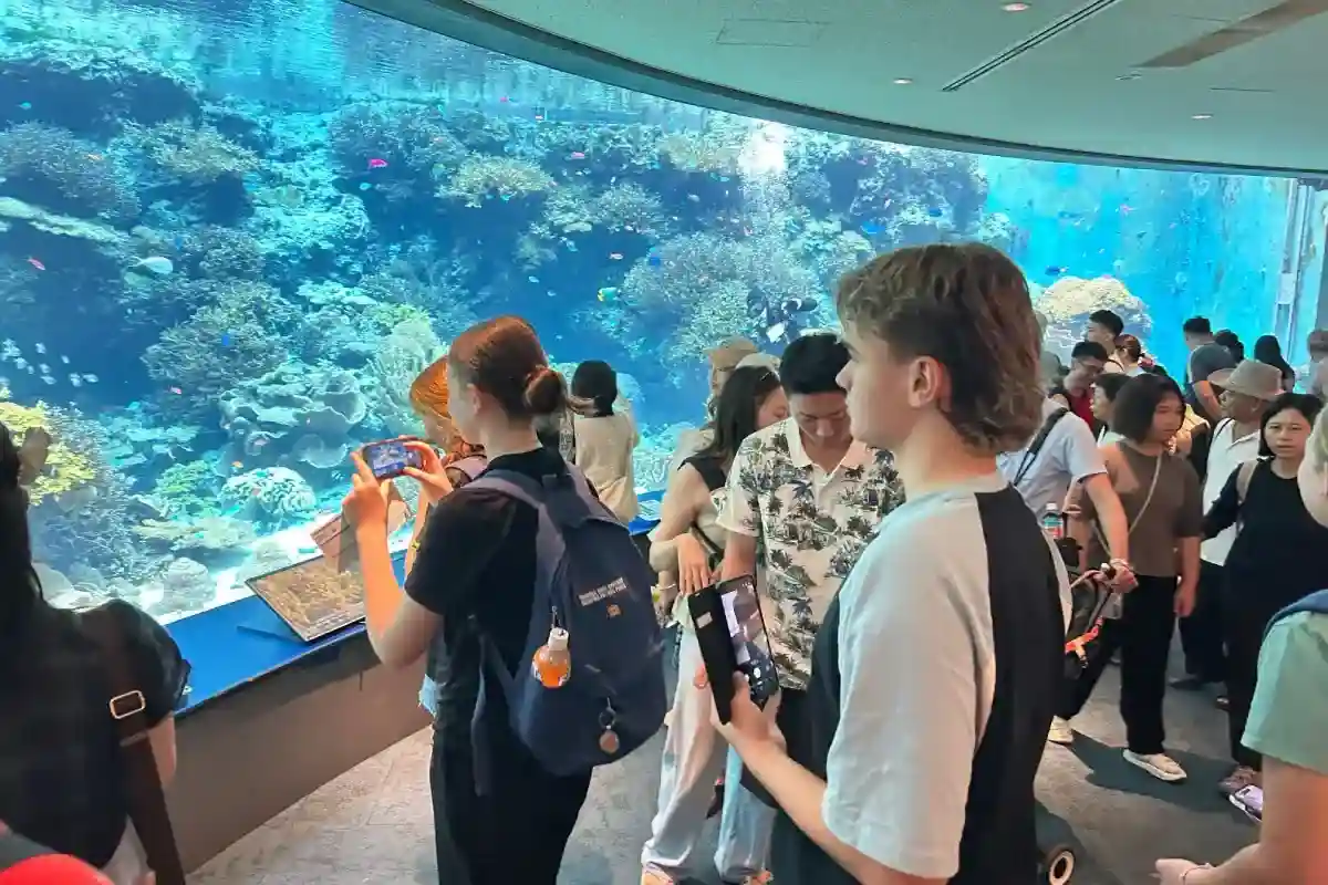 School group at Churaumi Aquarium - 27/6/26
